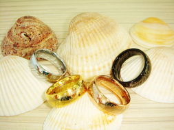 珠寶飾品行業(yè)情人節(jié)專場(chǎng)秀 璀璨獻(xiàn)禮，展示產(chǎn)品贏豐厚獎(jiǎng)勵(lì)